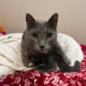 Meet your Posher, Camila